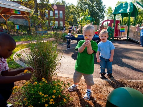 three children kneeling down looking at a green plant
